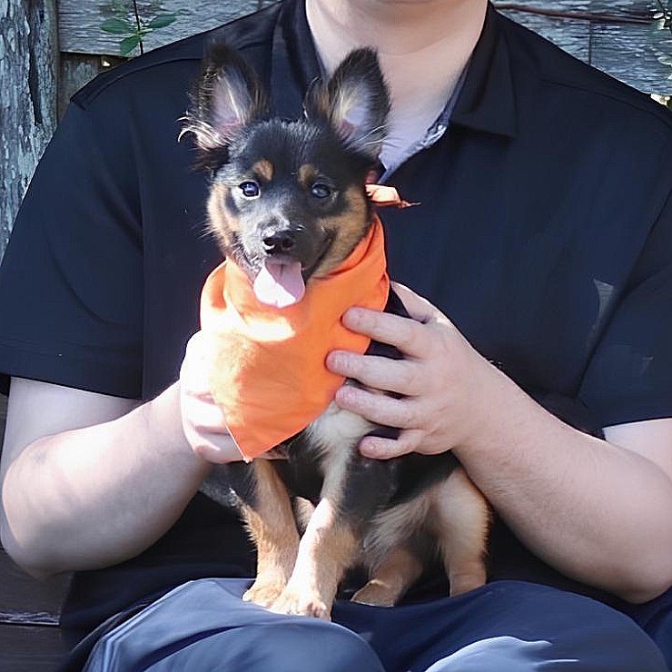 Teddy is the company dog at SEC Marketing Group in Lexington North Carolina